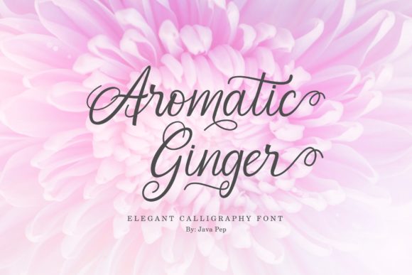 Aromatic Ginger: An Elegant Script Font for Editorial Design