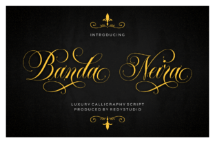 Banda Neira: A Bold Handwritten Font for Web Design