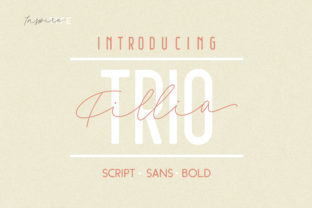 Filia: A Retro Display Font for Your Brand