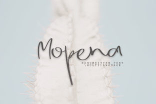 Mopena: A Real-World Designer Review