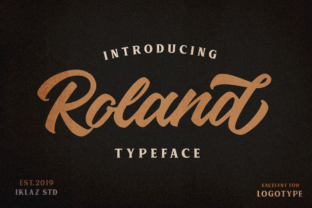 Roland: A Vintage Script Font for Campaigns