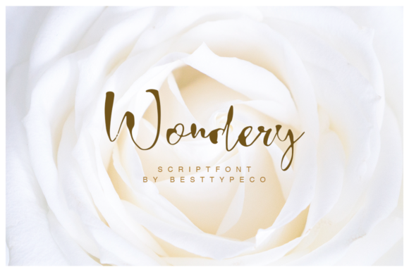 Wondery: A Handcrafted Script Font for Editorial Design